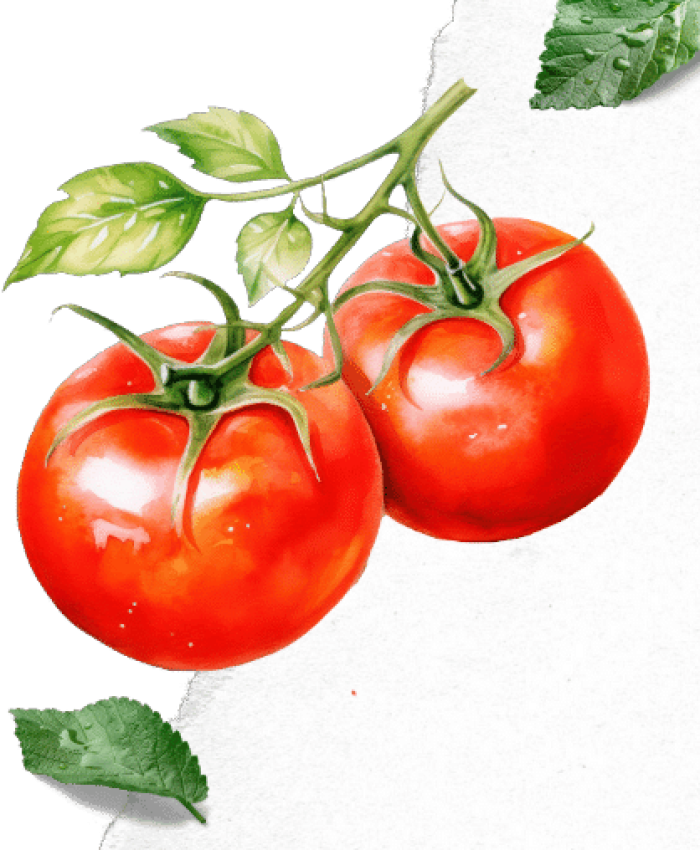 Pomodori in Italia: Simbolo del Patrimonio Culinarion e dell’Identità Culturale