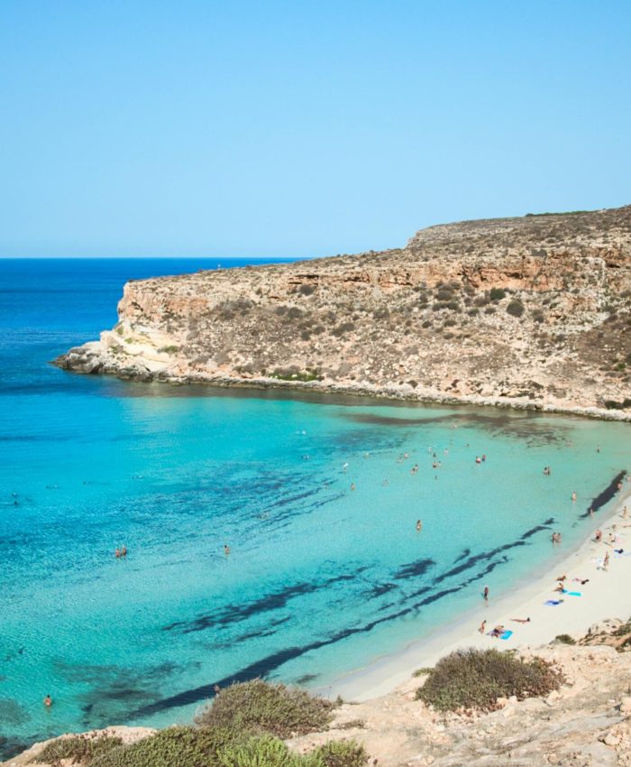 Cosa hanno da offrire le acque del Mediterraneo.